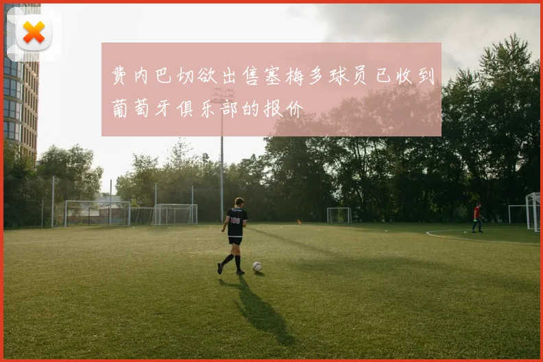 费内巴切欲出售塞梅多球员已收到葡萄牙俱乐部的报价