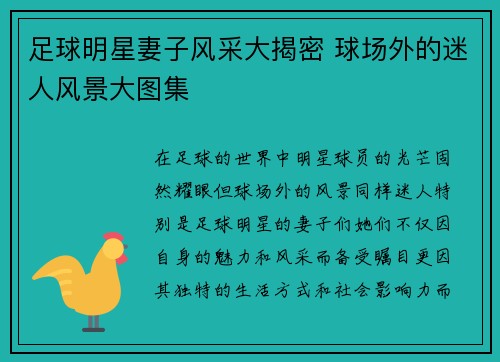 足球明星妻子风采大揭密 球场外的迷人风景大图集
